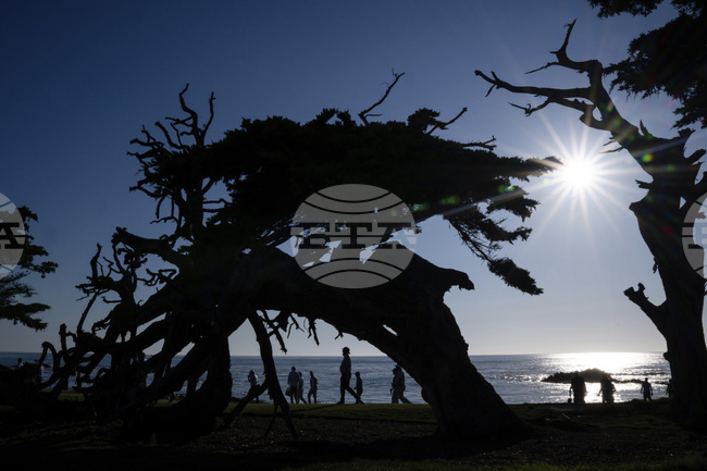 APTOPIX Walker Cup Golf