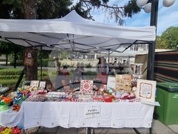 Нова Загора - Фестивал на шевицата