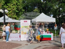 Нова Загора - Фестивал на шевицата