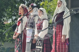 Нова Загора - Фестивал на шевицата