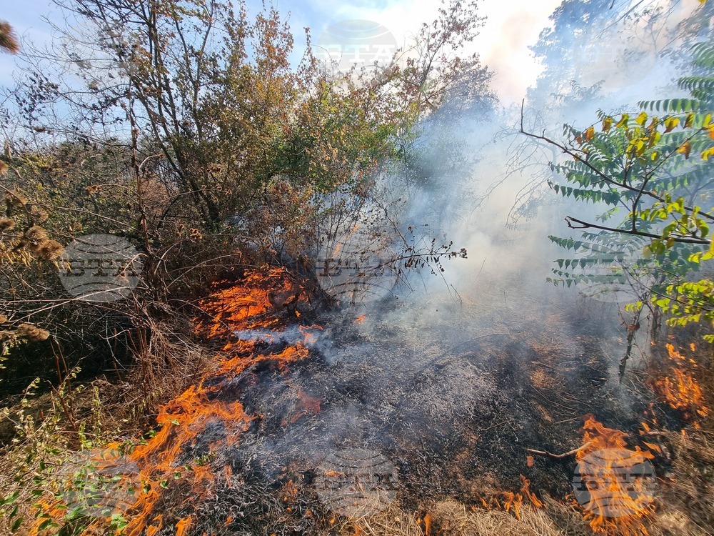 Двата пожара в община Суворово са овладяни