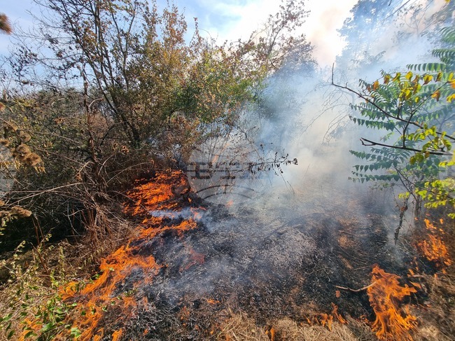 Двата пожара в община Суворово са овладяни