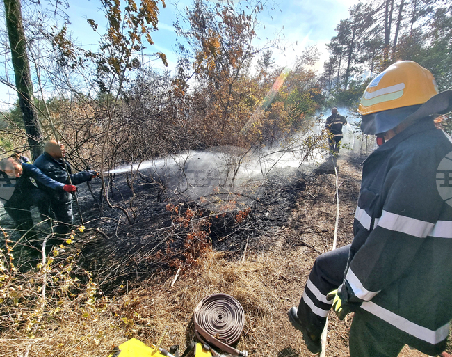 Пожарът край Варна е засегнал близо 50 декара гора