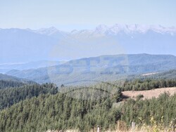 Снимка: Община Банско