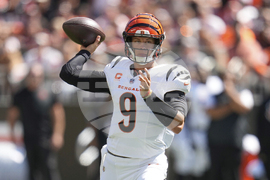Bengals Browns Football