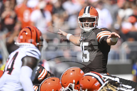 Bengals Browns Football