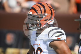 Bengals Browns Football