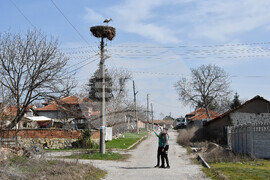 Село Подкрепа - щъркел