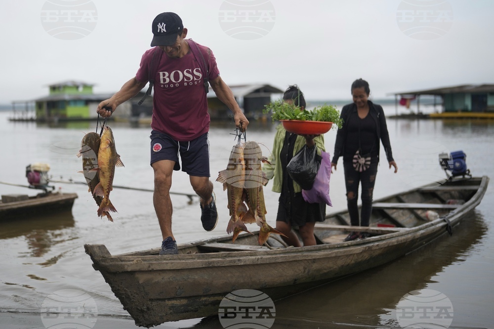 Colombia Fish