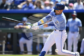 Twins Royals Baseball