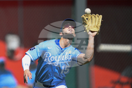 Twins Royals Baseball