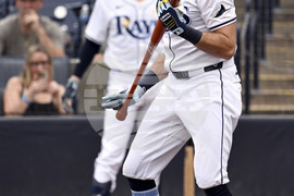 Guardians Rays Baseball