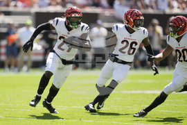 Bengals Browns Football