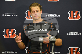 Bengals Browns Football