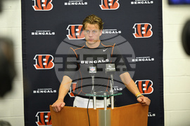 Bengals Browns Football