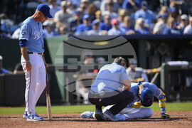 Twins Royals Baseball