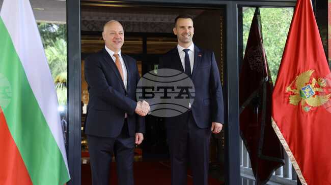 Bulgaria Staunchly Supports Montenegro's EU Aspirations - PM Zhelayzkov