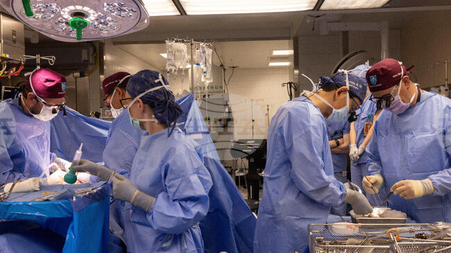 В Испания бе извършена първата лицева трансплантация от донор, който се е подложил на евтаназия