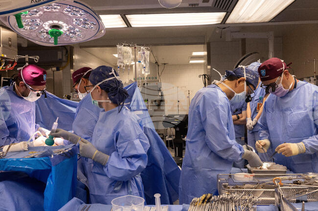 В Испания бе извършена първата лицева трансплантация от донор, който се е подложил на евтаназия