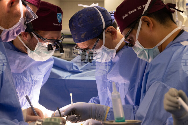 Италиански хирурзи извършиха рядка реконструкция на горната устна и носа на дете, пострадало след ухапване от животно