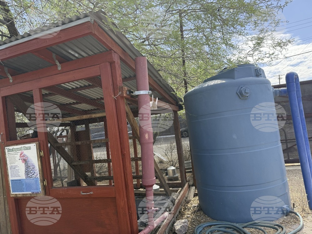 Gardening-Rainwater Harvesting