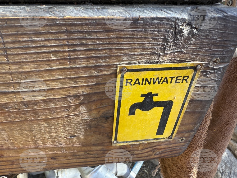 Gardening-Rainwater Harvesting