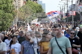 Сърбия - протест - полицейско насилие