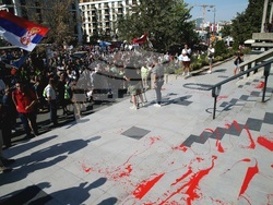 Сърбия - протест - полицейско насилие