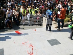 Сърбия - протест - полицейско насилие