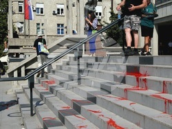 Сърбия - протест - полицейско насилие