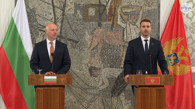 До 2028 г. се надяваме да станем 28-та държава членка на ЕС, заяви премиерът на Черна гора Милойко Спаич