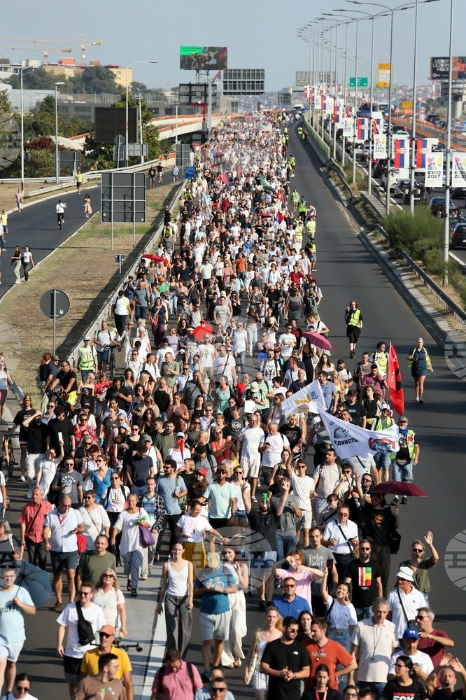 Student Candidate List for Upcoming Parliamentary Elections in Serbia Formed - University Professor 
