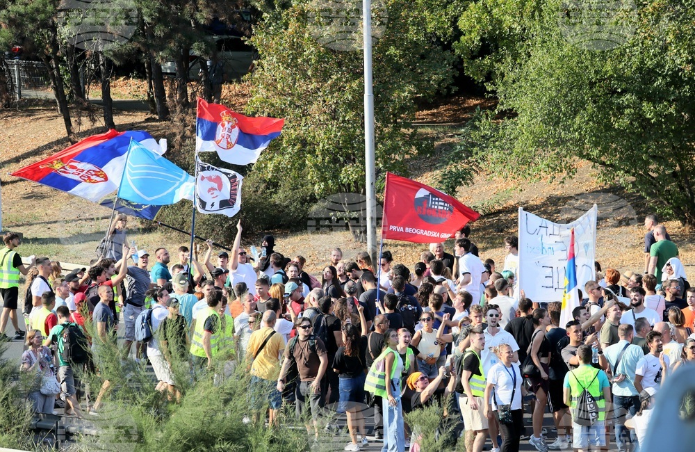 Сърбия - протест - полицейско насилие