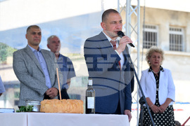 Берковица - празник