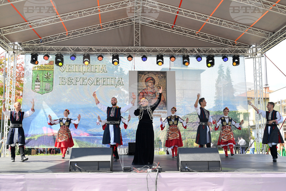 Берковица - празник