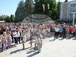 Берковица - празник