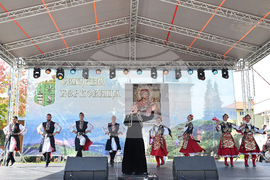 Берковица - празник