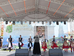 Берковица - празник