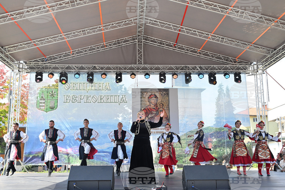Берковица - празник