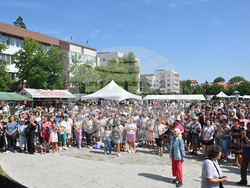 Берковица - празник