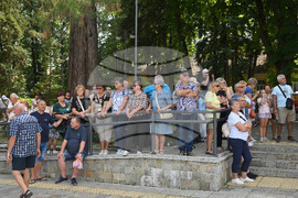 Берковица - празник