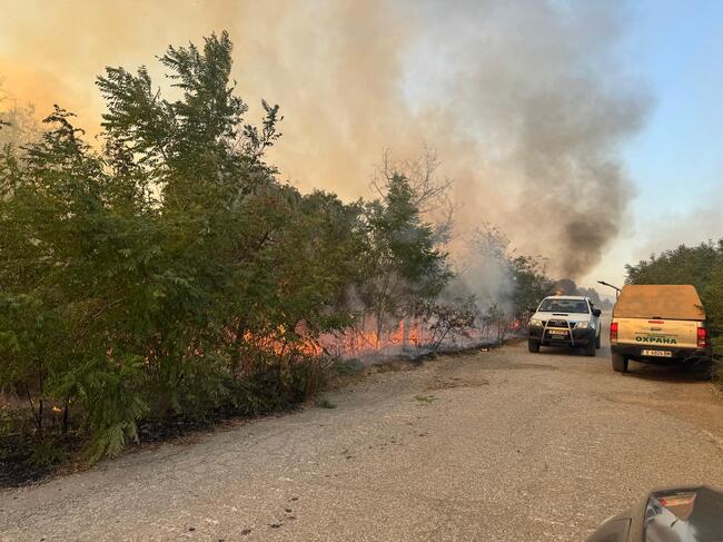 Efforts to Contain Fire in Sakar Mountain Continue