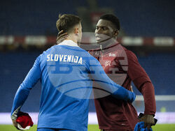 Switzerland Slovenia WCup Soccer