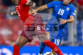 Switzerland Slovenia WCup Soccer