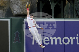 Twins Angels Baseball