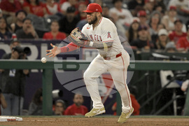 Twins Angels Baseball