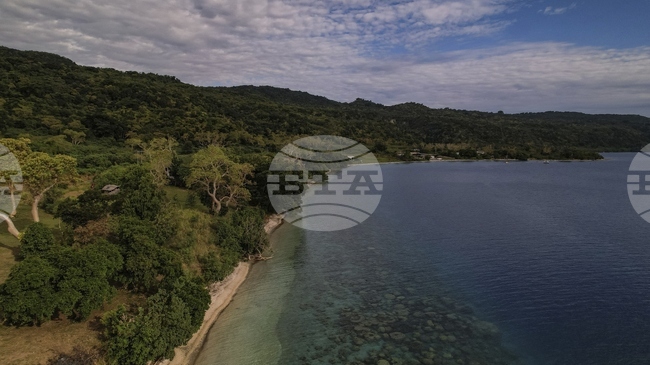 Австралийски биосензор позволява бързо откриване на токсични химикали във водата