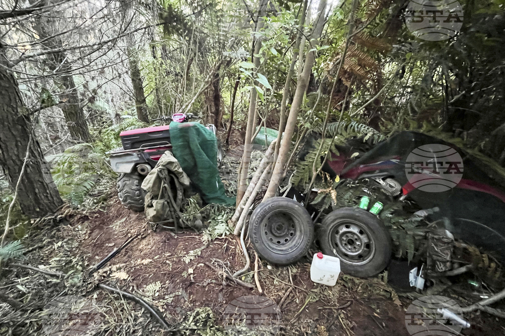 New Zealand Missing Family