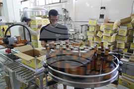 Britain Palestinian Beer in Britain