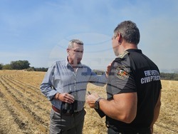 Сакар планина - пожар - Николай Николов